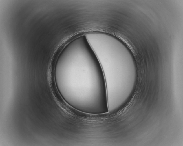 X0000113570677200909181000