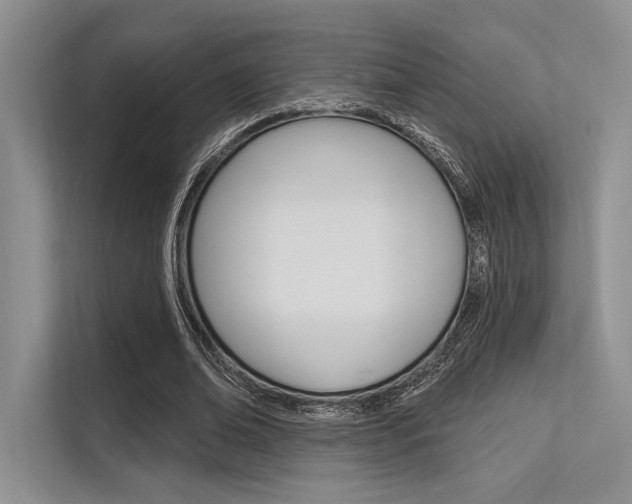 X0000113570678200909181000