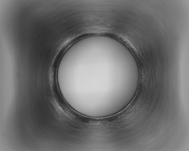 X0000113570679200909181000