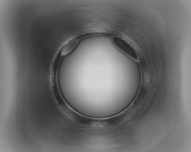 X0000113570680200909181000