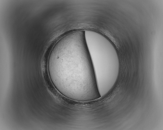X0000113570683200909181000
