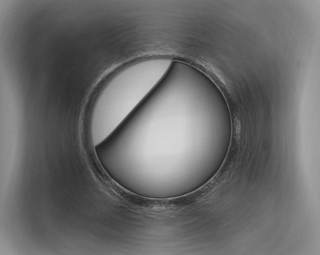 X0000113570684200909181000