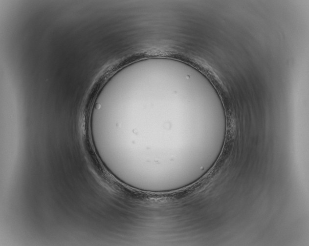 X0000113570686200909181000