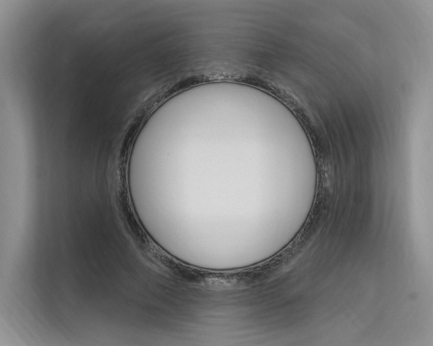 X0000113570690200909181000