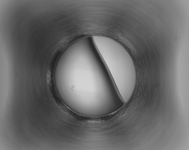 X0000113570693200909181000