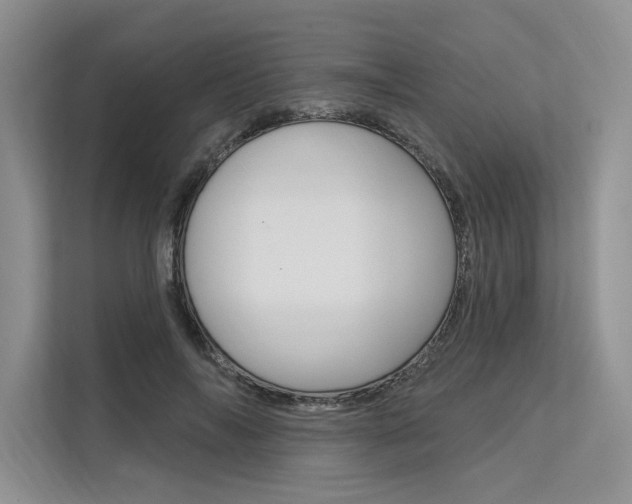 X0000113570694200909181000
