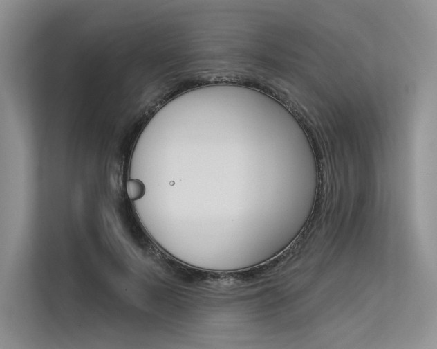 X0000113570695200909181000