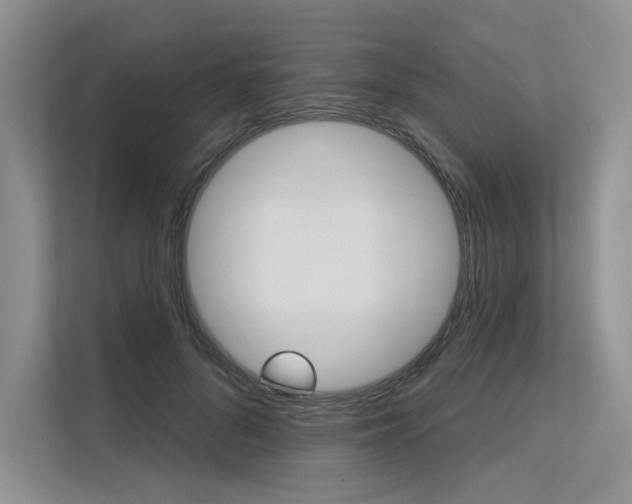 X0000113570696200909181000