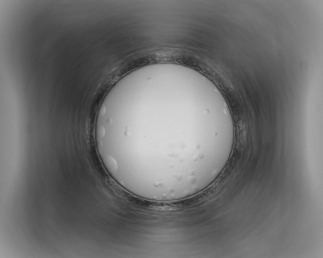 X0000113570698200909180959