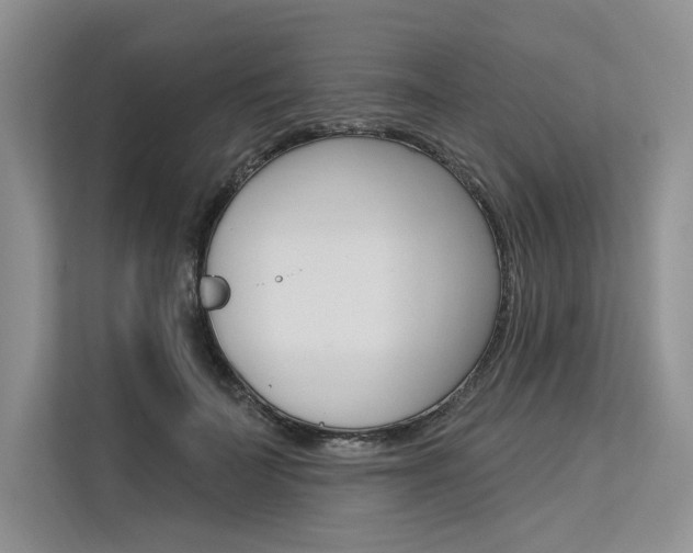 X0000113570699200909180959