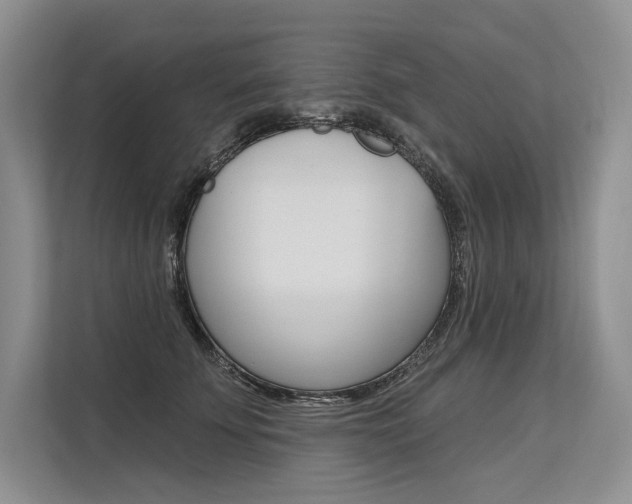 X0000113570707200909180959