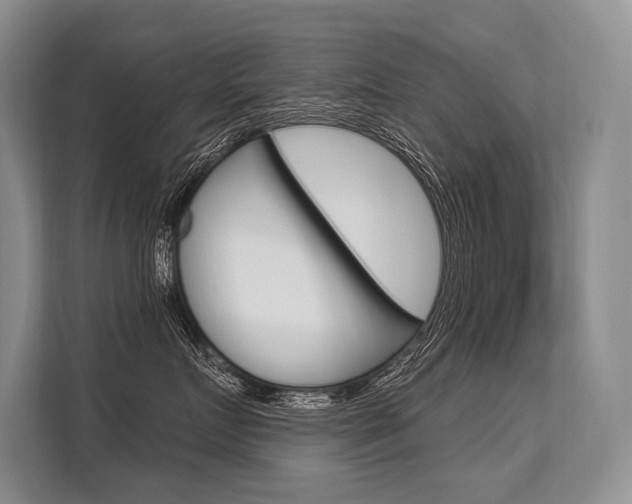 X0000113570719200909180959