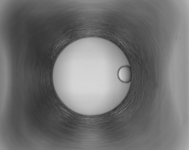 X0000113570720200909180959
