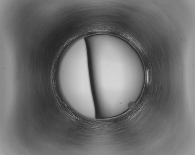 X0000113570723200909180959