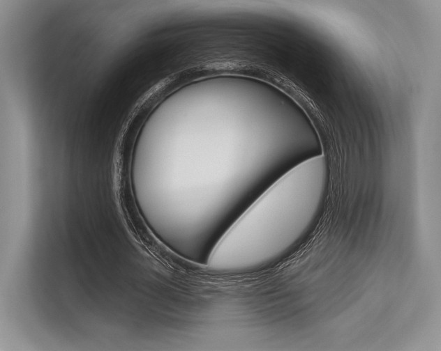 X0000113570724200909180959