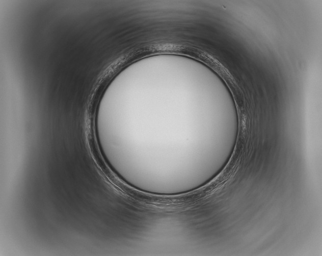 X0000113570725200909180959