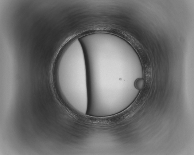 X0000113570727200909180959