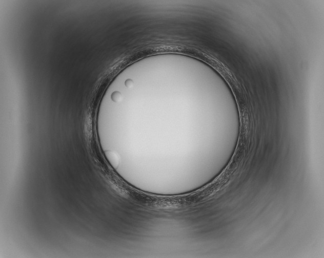 X0000113570729200909180959
