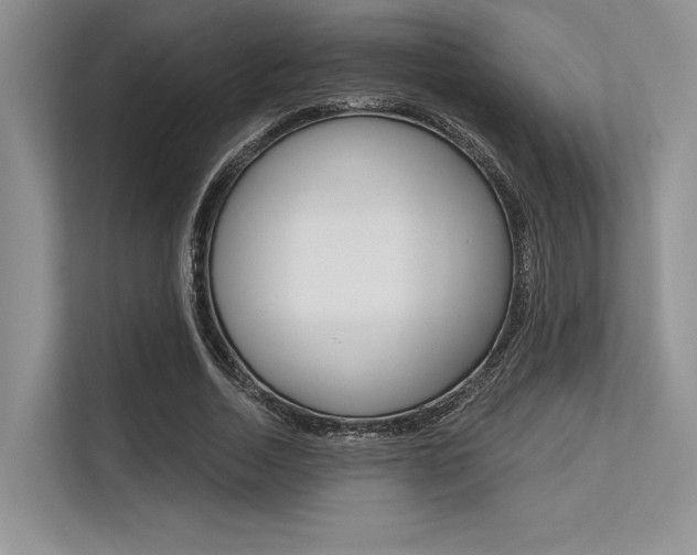 X0000113570730200909180959