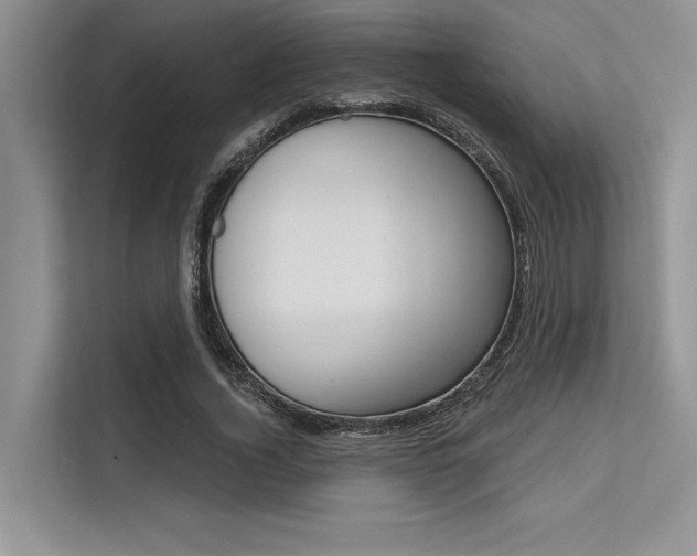 X0000113570732200909180959