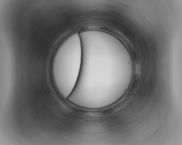 X0000113570733200909180959
