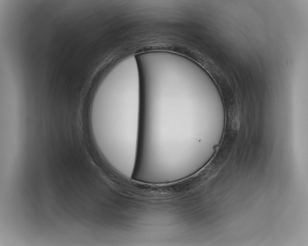 X0000113570735200909180959