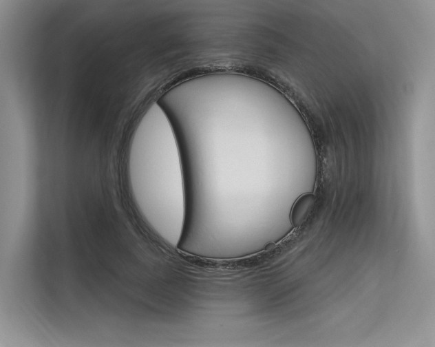 X0000113570739200909180959