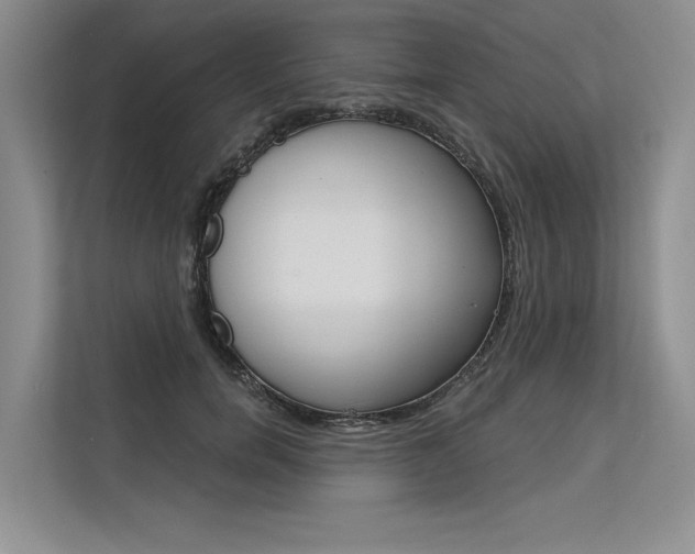 X0000113570750200909180959
