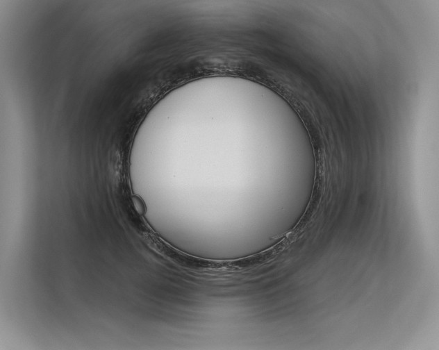 X0000113570752200909180959