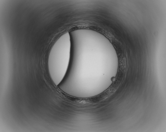 X0000113570755200909180959