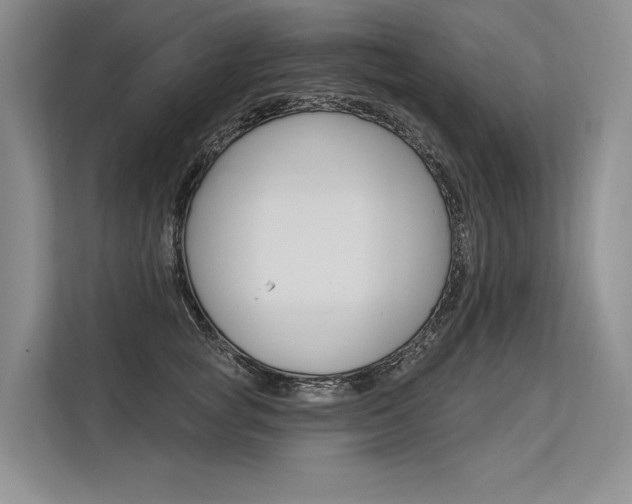 X0000113570757200909180959