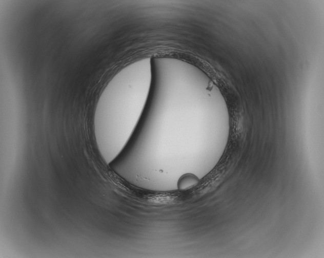 X0000113570759200909180959