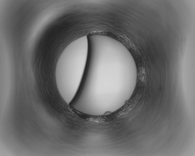 X0000113570763200909180959