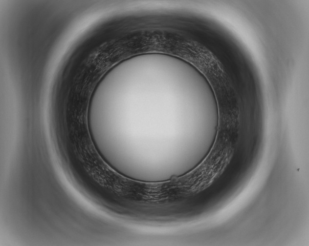 X0000113570766200909180959