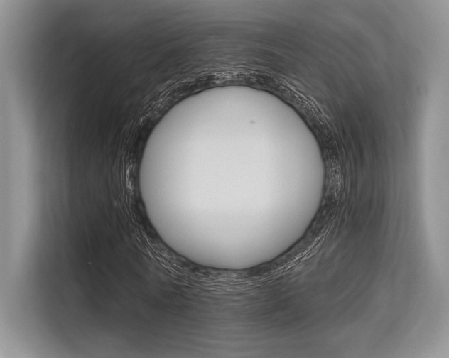 X0000113570770200909180959