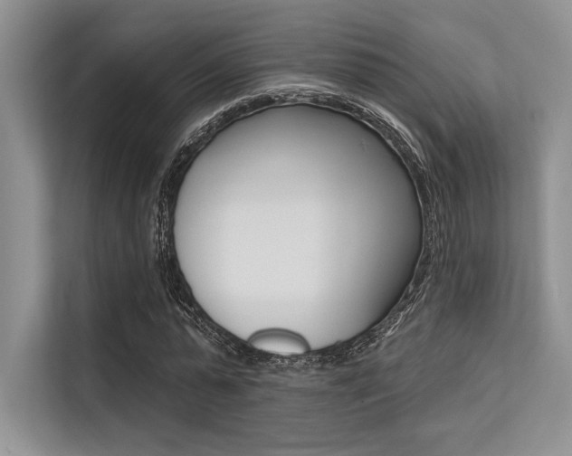 X0000113570775200909180958