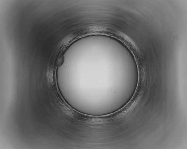 X0000113570777200909180958