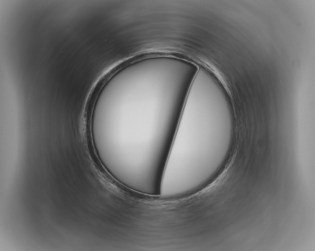 X0000113570779200909180958