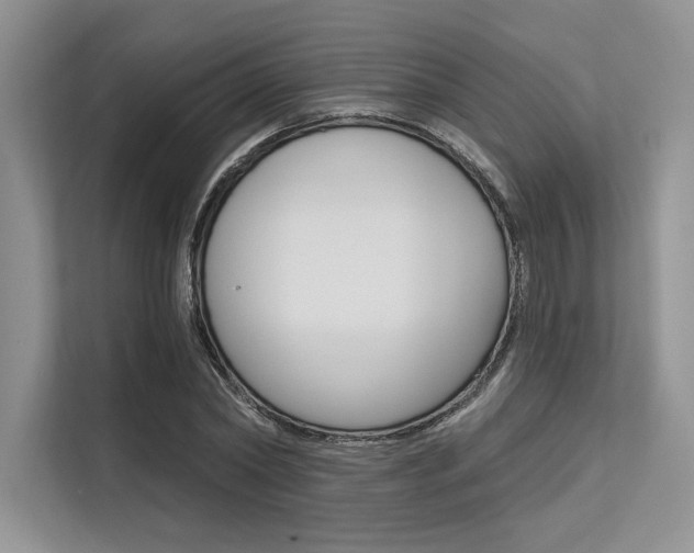 X0000113570782200909180958
