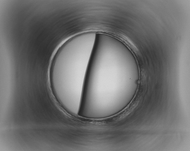 X0000113570788200909180958