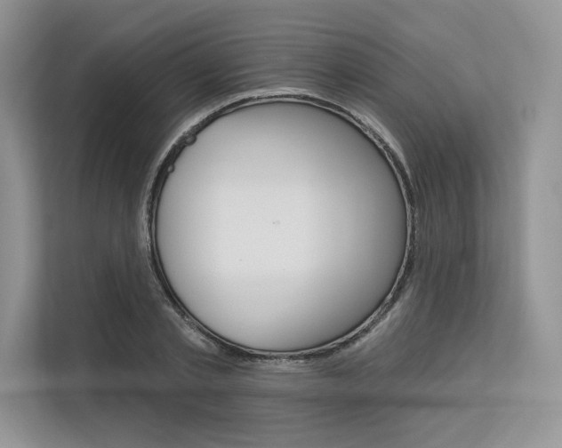 X0000113570789200909180958
