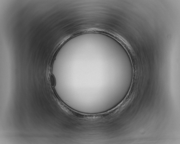 X0000113570793200909180958