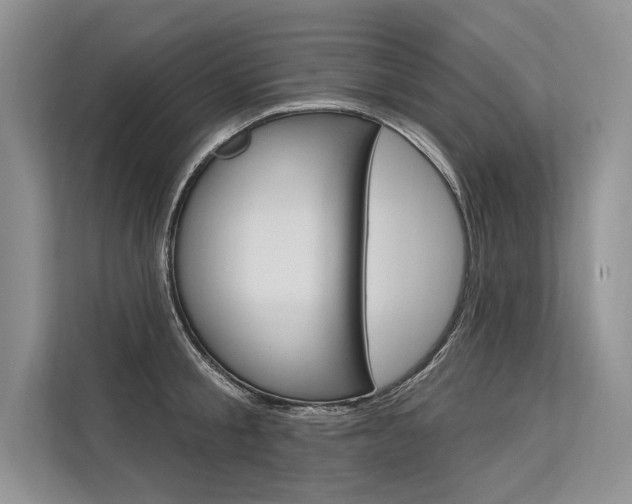 X0000113570805200909180958