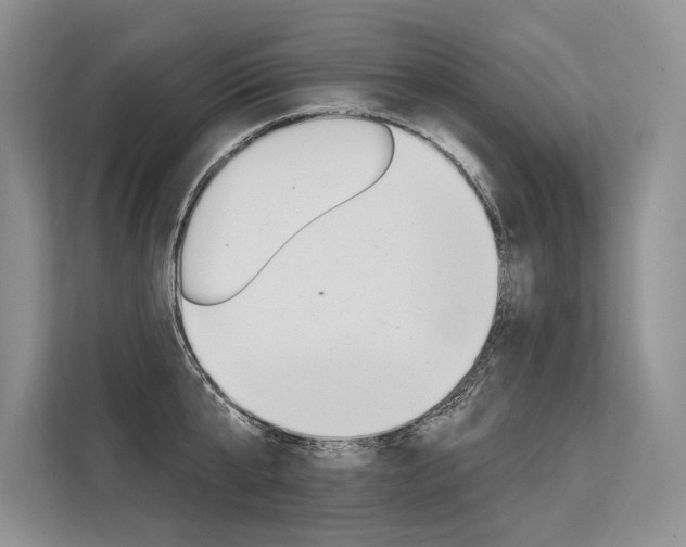 X0000113570807200909180958