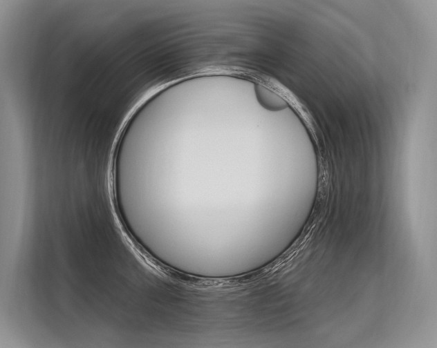 X0000113570811200909180958