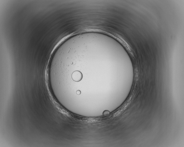 X0000113570814200909180958