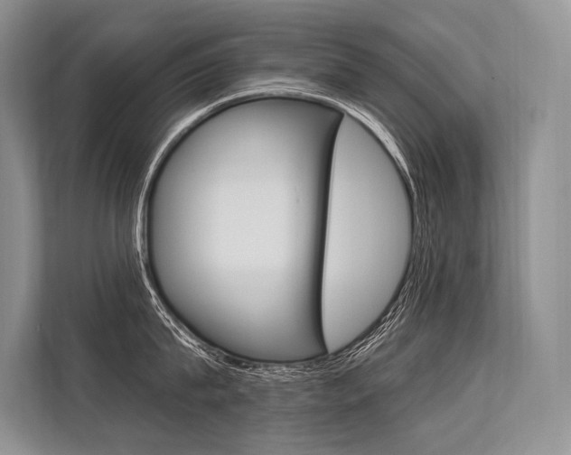X0000113570815200909180958