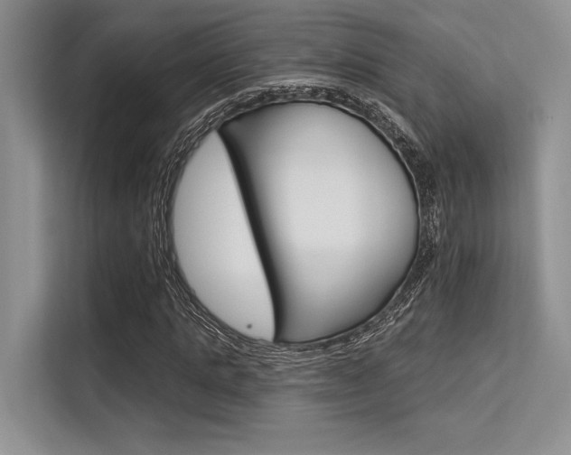 X0000113570821200909180957