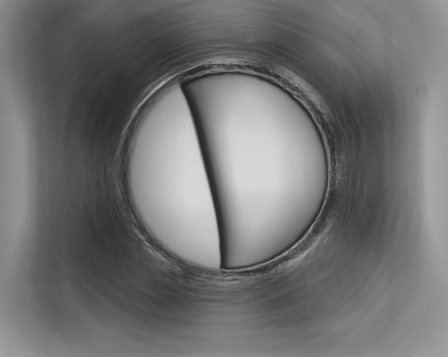X0000113570829200909180957