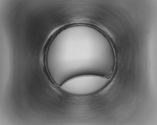 X0000113570830200909180957